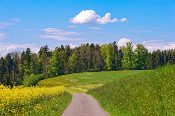 Осень река