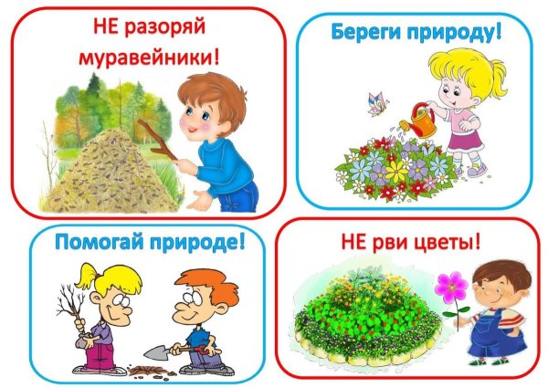 Экология для детей дошкольного возраста