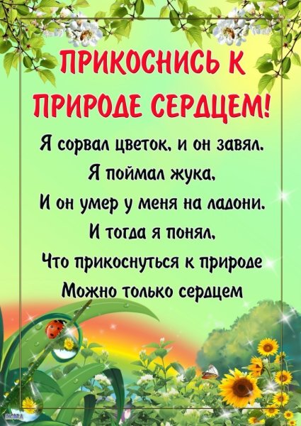 Консультация для родителей по экологии