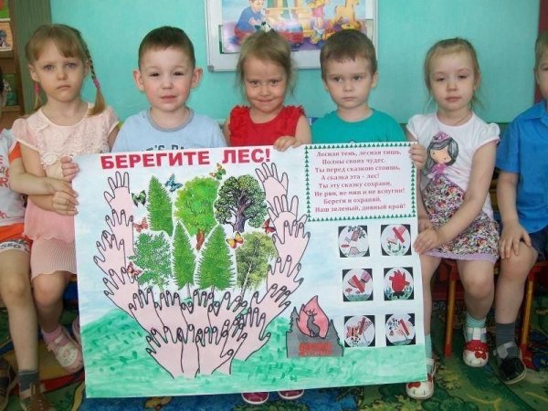 Коллективная работа берегите лес