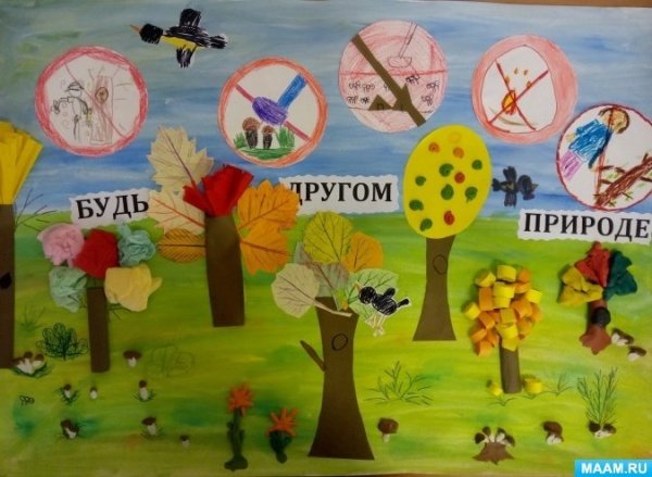 Природа экология подготовительная группа занятия