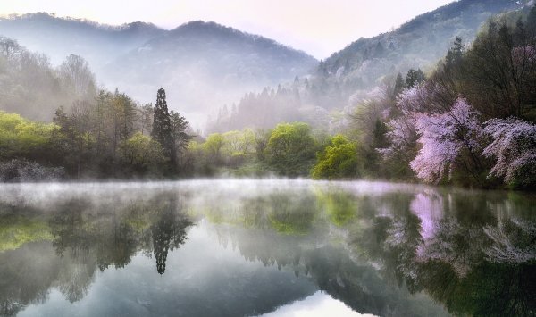Нежный пейзаж