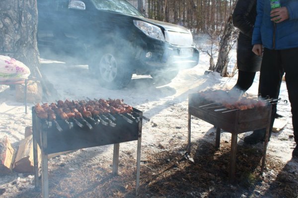 Шашлык на природе с автомобилем