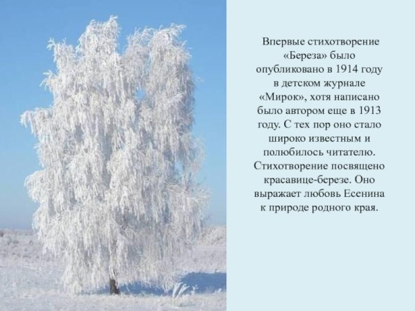 Край березовый край Есенина