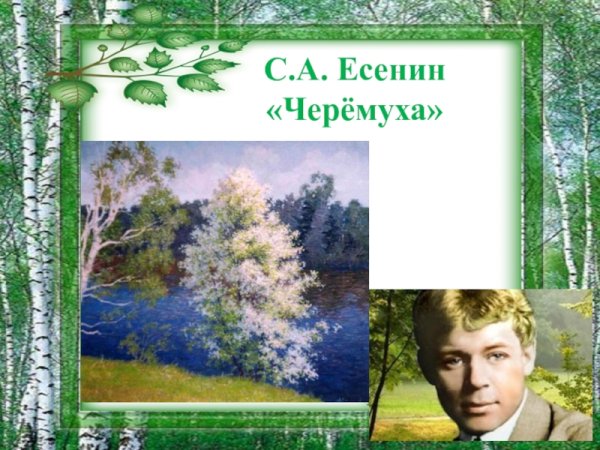 Иллюстрации к стихам