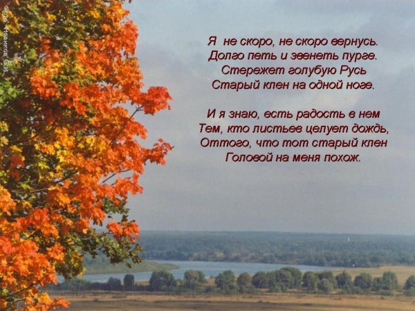 Стихи русских поэтов