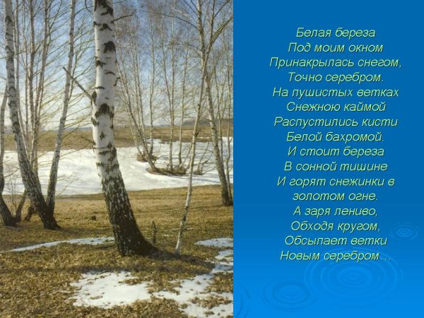Стихи Есенина о природе