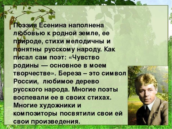 Стихотворение Сергея Александровича Есенина черемуха