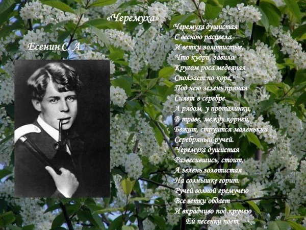 Пейзаж Есенинская Русь