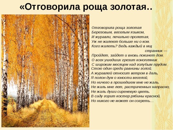 Стихотворение Есенина о природе