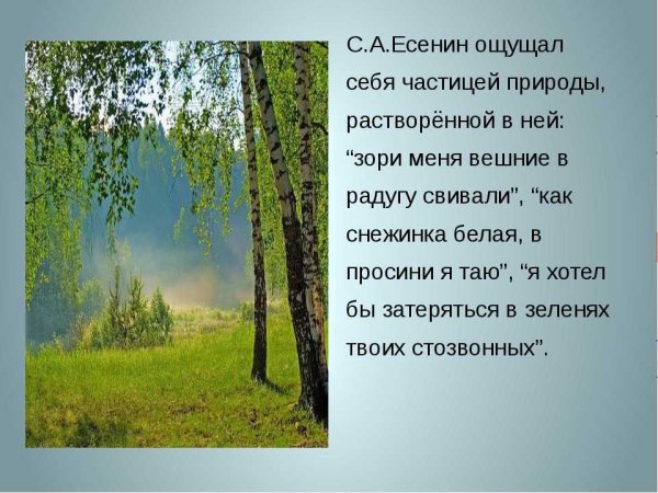 Сергей Александрович Есенин черемуха