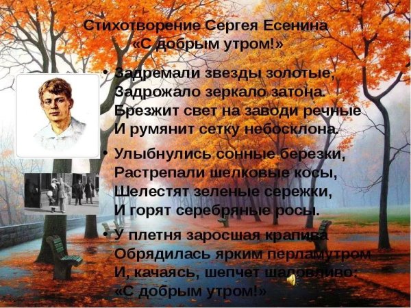 Есенин белая черёмуха стихотворение