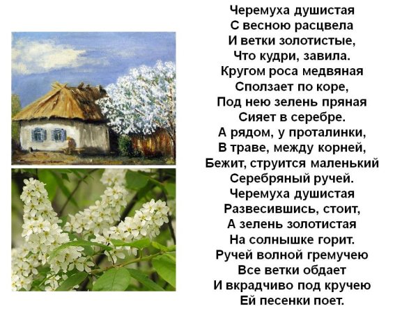 Есенин певец страны березового ситца