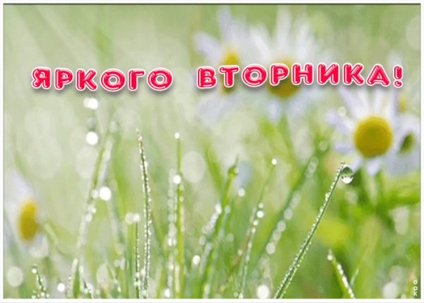 С добрым летним утром вторника