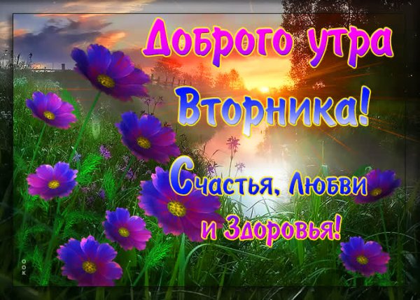 Открытки с добрым утром вторника