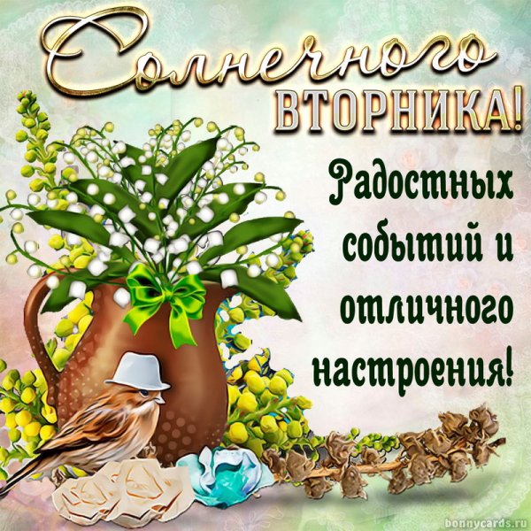 Открытки на вторник с пожеланиями