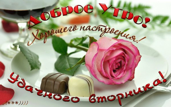 Пожелания с добрым утром вторника