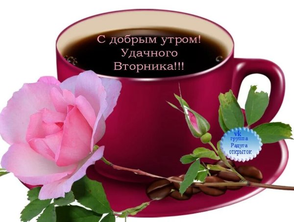 С добрым утром вторника