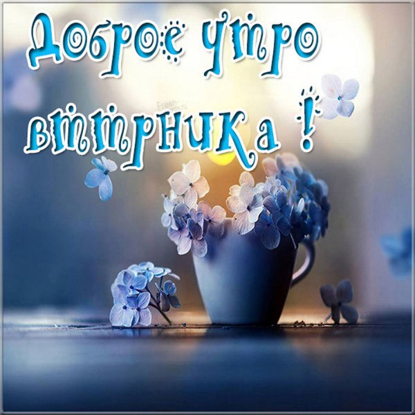 Открытки с добрым утром вторника
