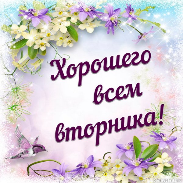 Поздравления со вторником