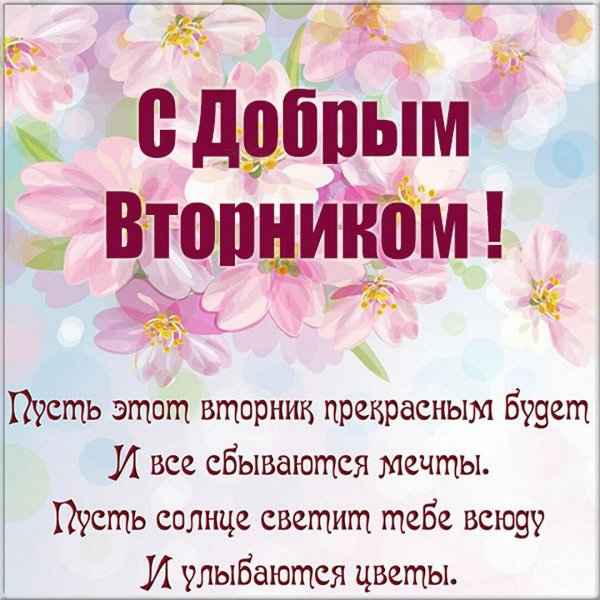 С добрым утром вторника