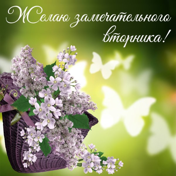 Доброе утро вторника