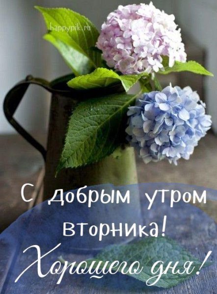 Чудесного летнего вторника