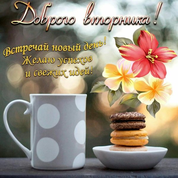 Пожелание доброго утра вторника