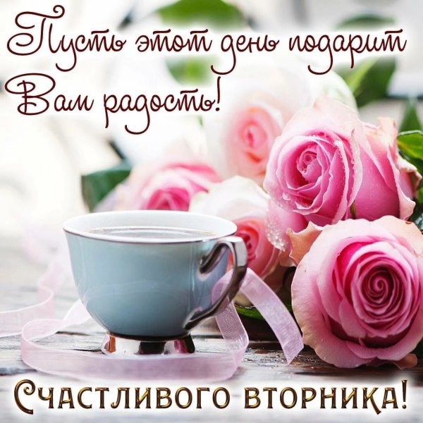 С добрым утром вторника