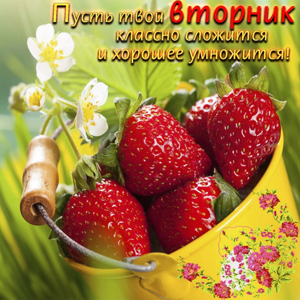 Доброе утро вторника красивые пожелания