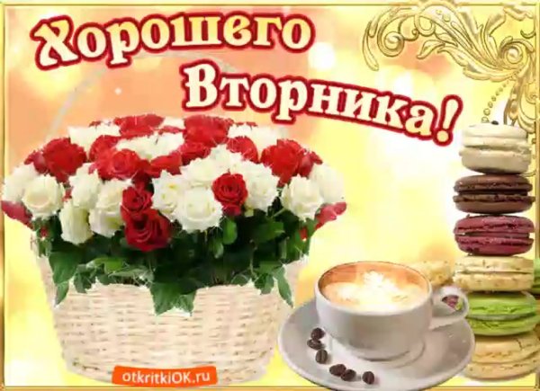 С добрым утром вторника