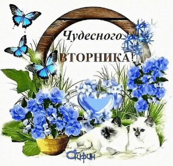 Открытки с добрым вторником и хорошим настроением