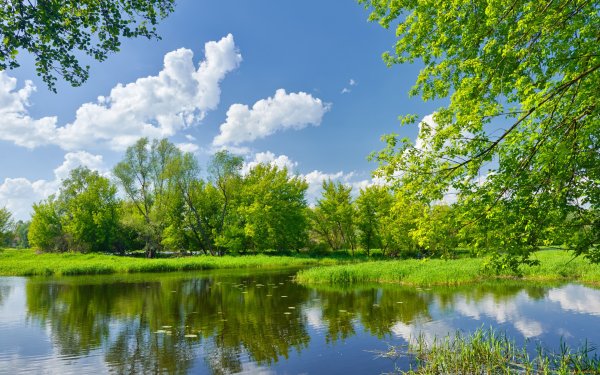 Природа река