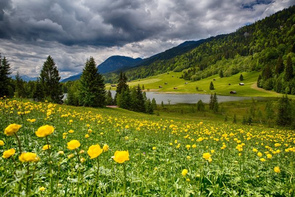 Швеция Альпийские Луга