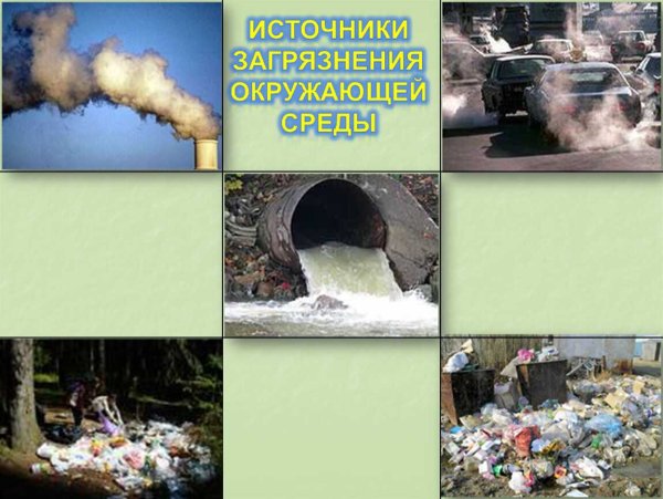 Проект по загрязнению природы