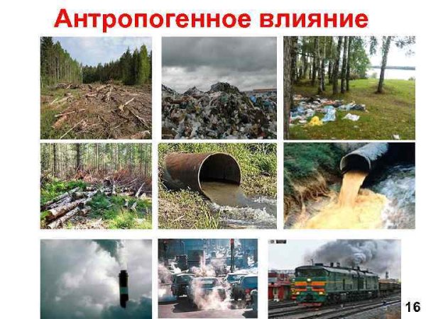 Биологическое антропогенное загрязнение