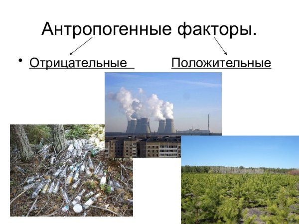 Пути воздействия человека на природу
