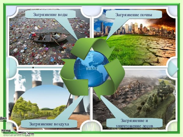 Последствия вырубки лесов