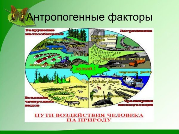 Факторы воздействия на природу