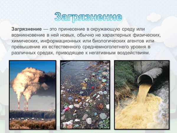 Проблемы экологических проблем