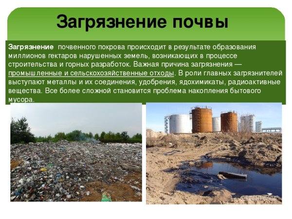 Антропогенное воздействие на леса