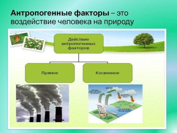 Антропогенное воздействие человека на природу