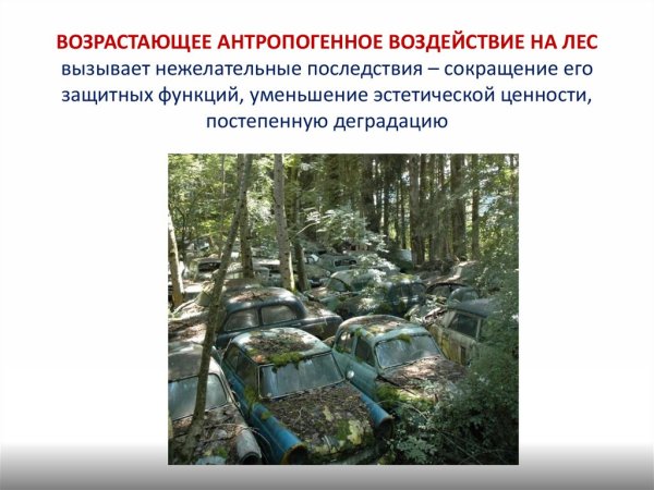 Антропогенные комплексы