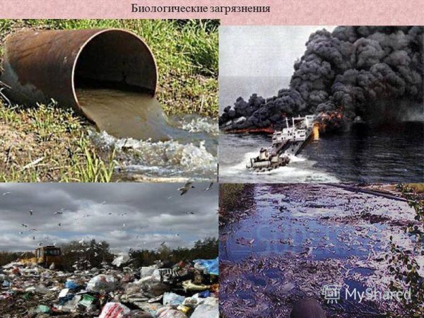 Загрязнение почвы