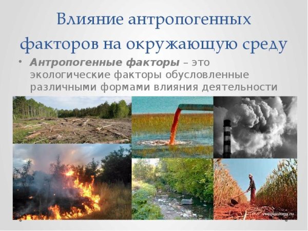 Антропогенное влияние на природу