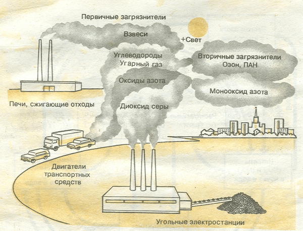 Последствия антропогенного воздействия на природу