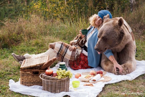 Звери на пикнике