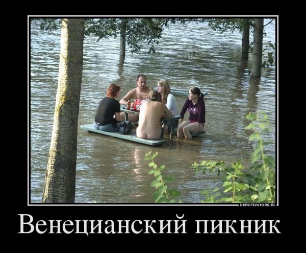 У нас тут своя атмосфера демотиватор