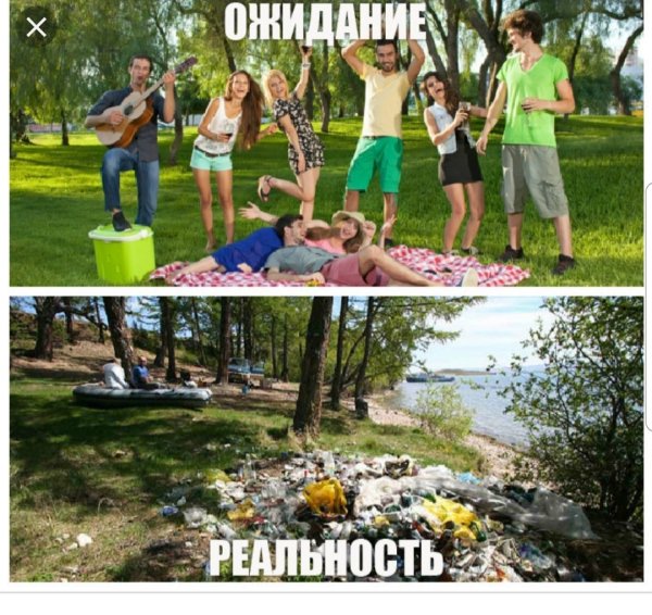 Приколы про отдых на природе