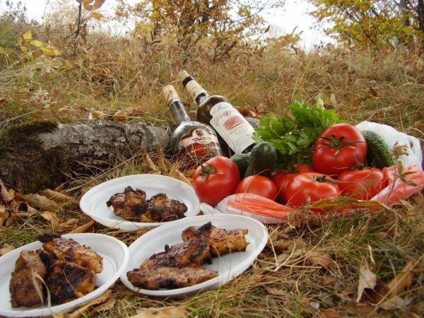 Пикник шашлык на природе